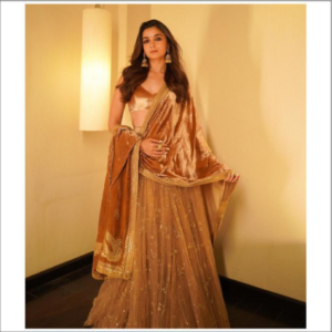 Blue Floral Printed Fairy Lehenga